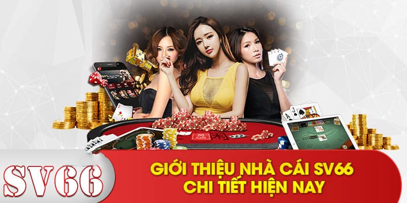 Giới thiệu thông tin Sv66